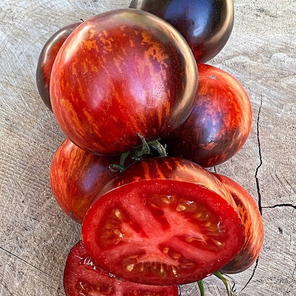 QUEEN Of The Night Heirloom Tomato - RARE Organic Seeds (As seen on Gardener’s World)