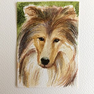 ACEO ORIGINAL ART Retrato de Collie. Dibujo de animales en acuarela.