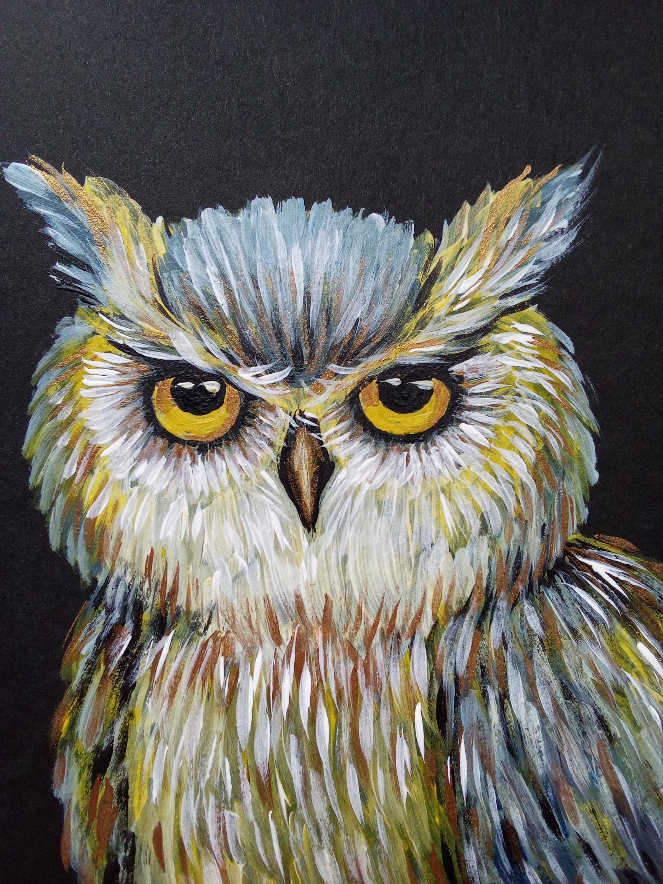 Portrait of a Mystical Owl Acrylic Painting on Black Paper Original A5 Artwork