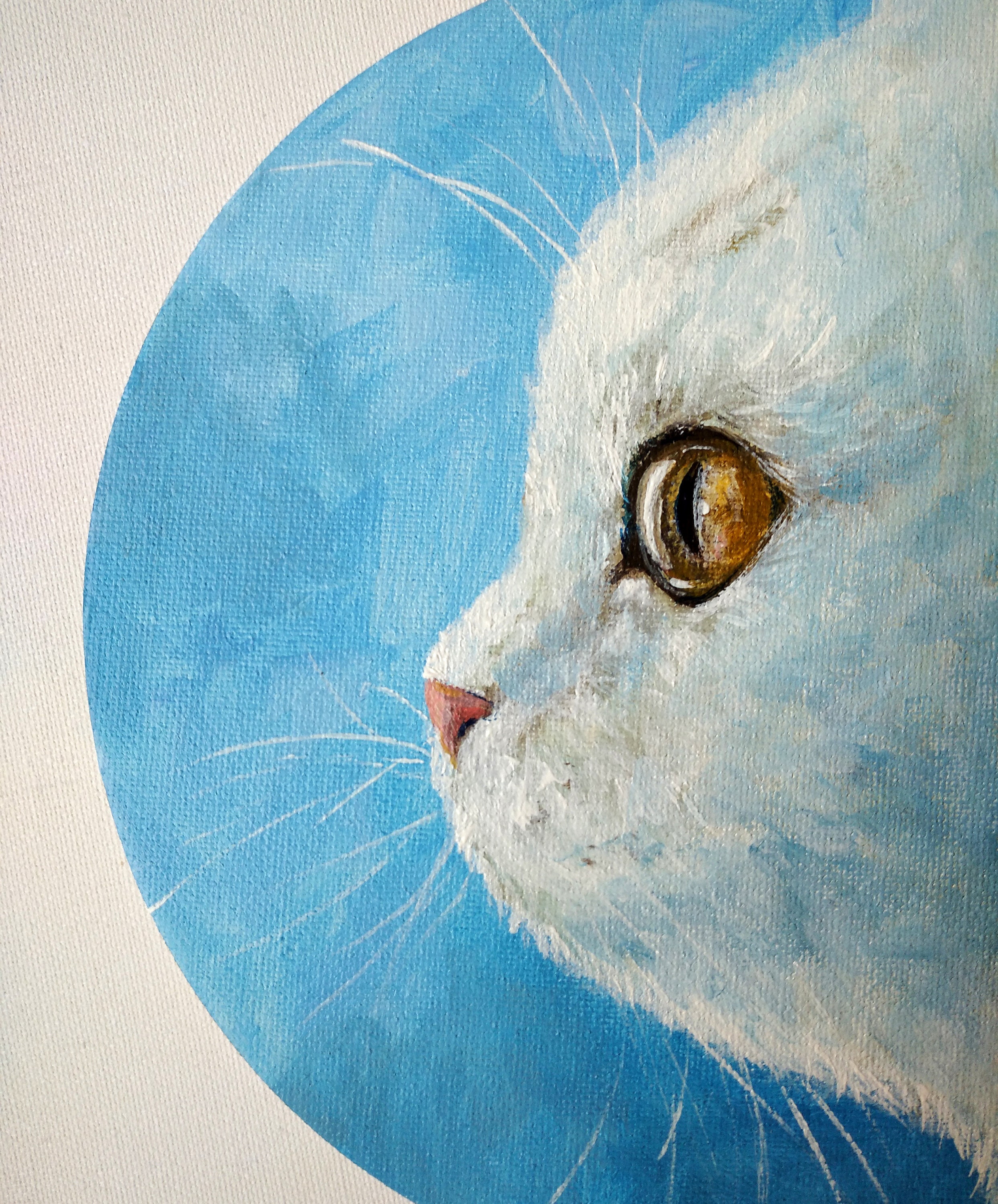白猫のアクリル画 - 丸いキャンバスに手描きされたオリジナルの動物画