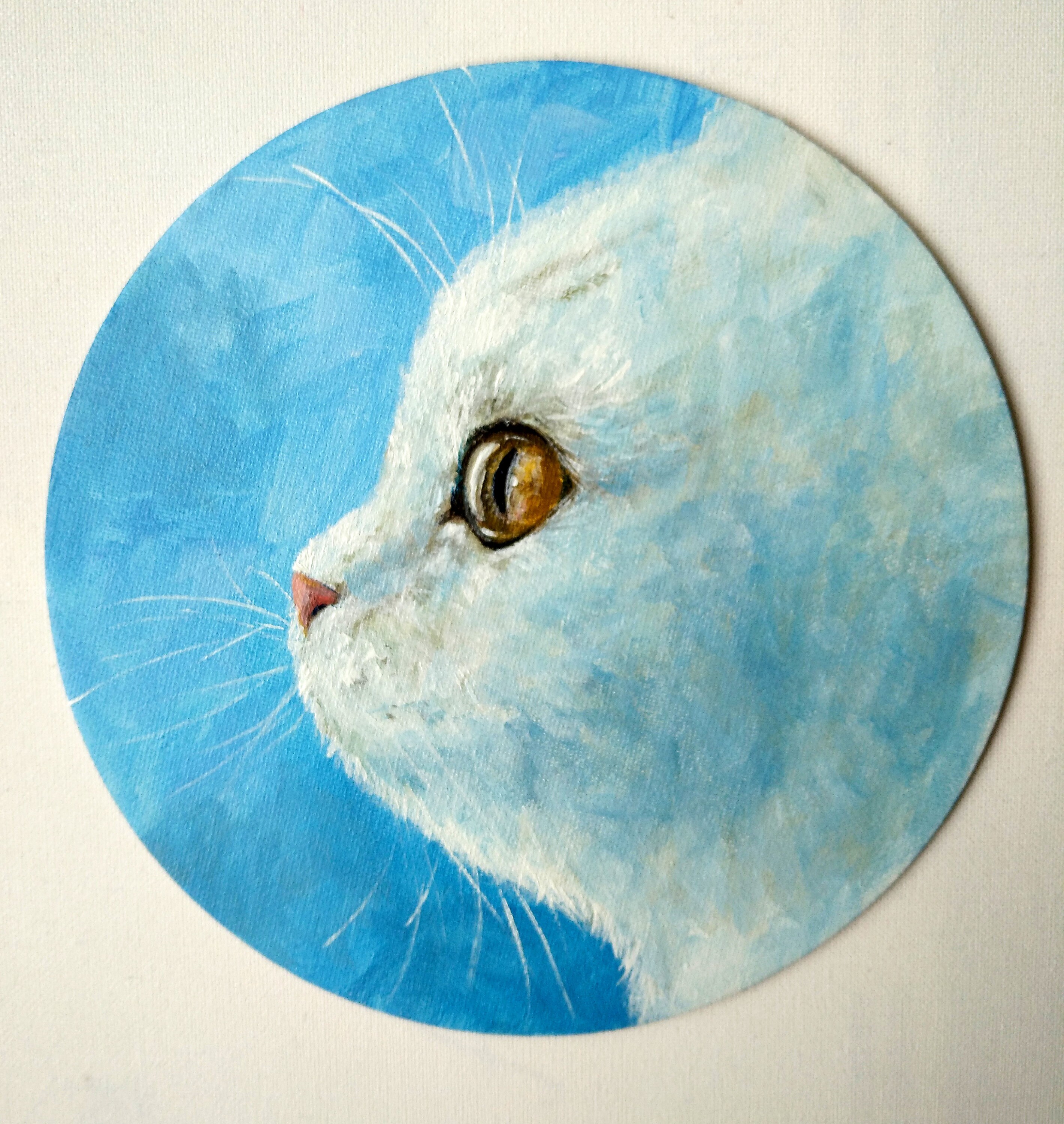 【白猫】アクリル画 白猫のアクリル画 - 丸いキャンバスに手描きされたオリジナルの動物画