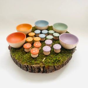 Mushroom sorting toy | Wooden Montessori Toy | Montessori Toddler | Wooden Mushroom