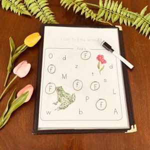 May include: A white worksheet with the words "I can find the letter Ff" and "Find It" printed on it. The worksheet has a grid of letters with a circle around each letter. The letter "F" is circled in each circle. There is a picture of a frog and a flower on the worksheet.