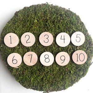 Wooden number coins | Montessori Math | Wooden number discs | Counting 1-10
