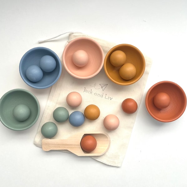 Wooden Color Sorting Toy - Etsy