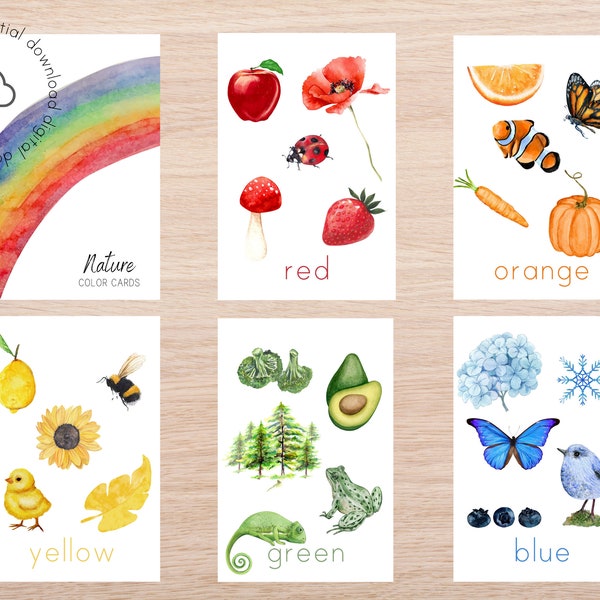 Nature Themed Color Flashcards | Homeschool Nature Study | Printable Montessori Flash Cards | Nature Inspired