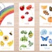 see more listings in the Flashcards section