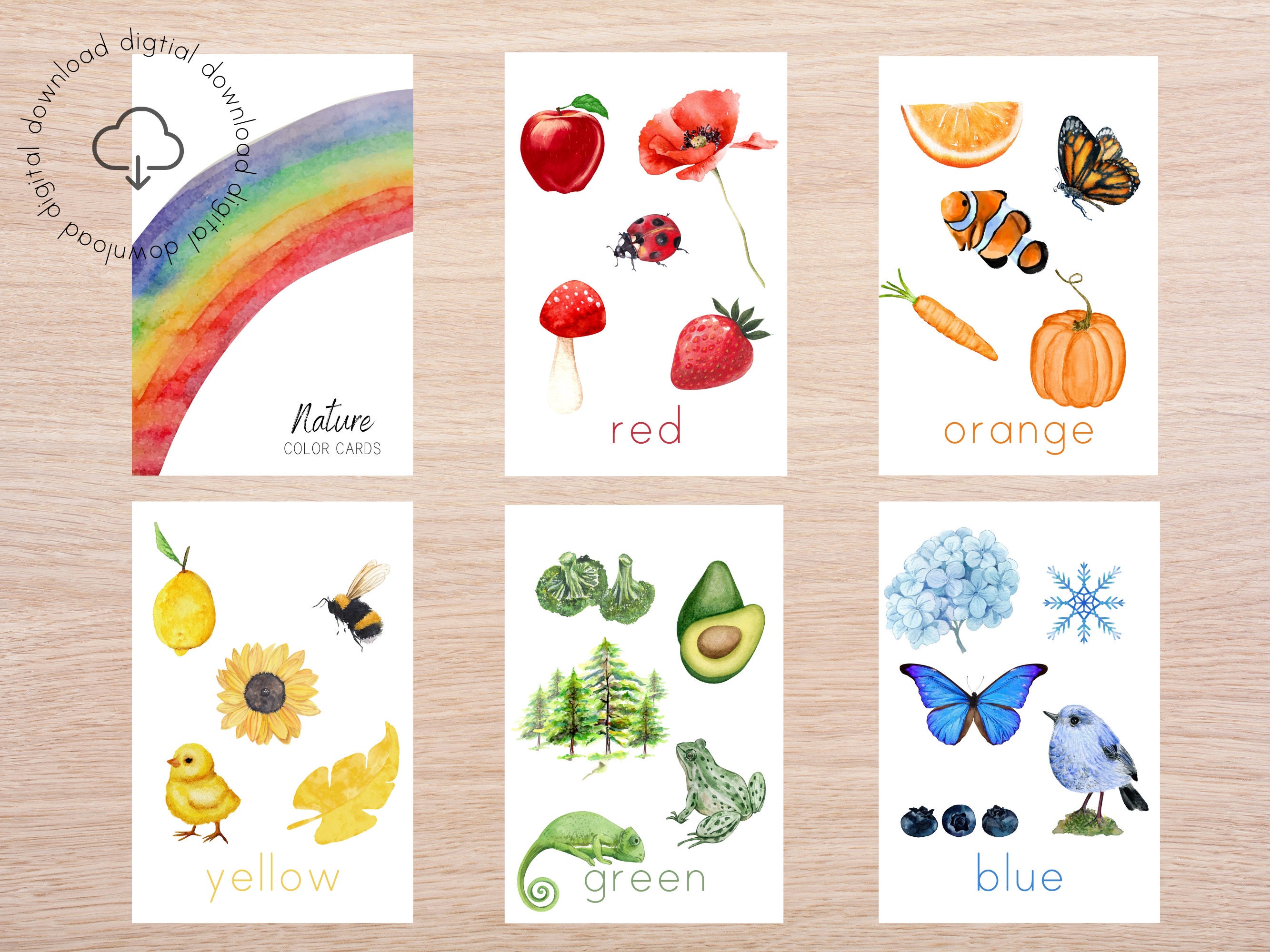 Nature Themed Color Flashcards | Homeschool Nature Study | Printable ...
