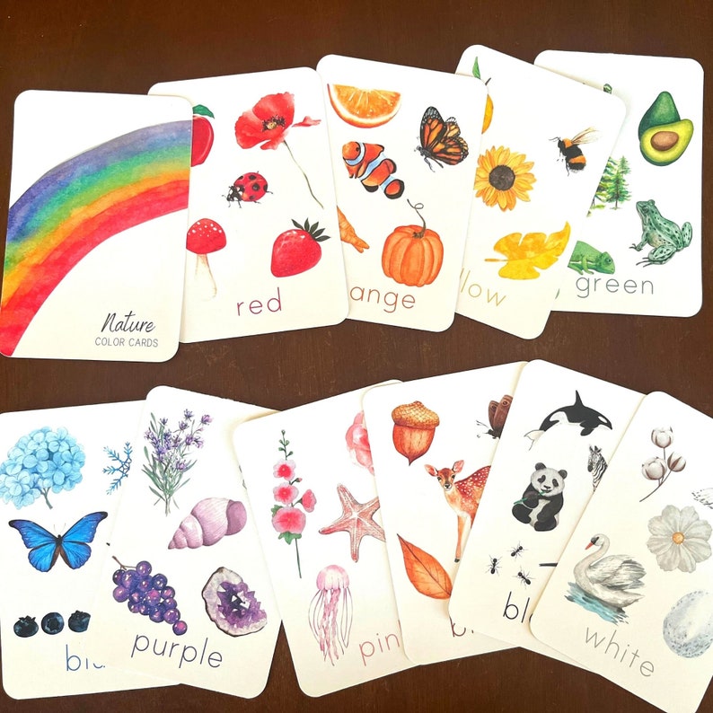 May include: A set of 12 color flashcards featuring nature-themed illustrations and the corresponding color name. The cards are printed on white cardstock and feature watercolor illustrations of a rainbow, ladybug, strawberry, orange slice, fish, sunflower, avocado, frog, hydrangea, lavender, seashell, flower, starfish, acorn, deer, panda, swan, and cotton.