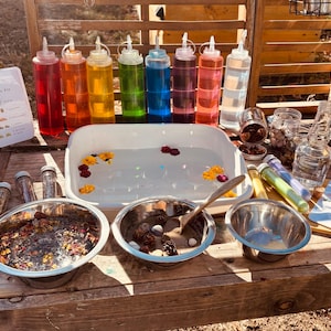 May include: A wooden table displays a sensory play setup. It features colorful liquids in squeeze bottles, a white tray with water and flowers, and stainless steel bowls with natural elements. Jars and bottles are also present.