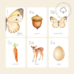 Nature Themed Alphabet Cards | Homeschool Nature Study | Printable Montessori Flash Cards | Nature Inspired