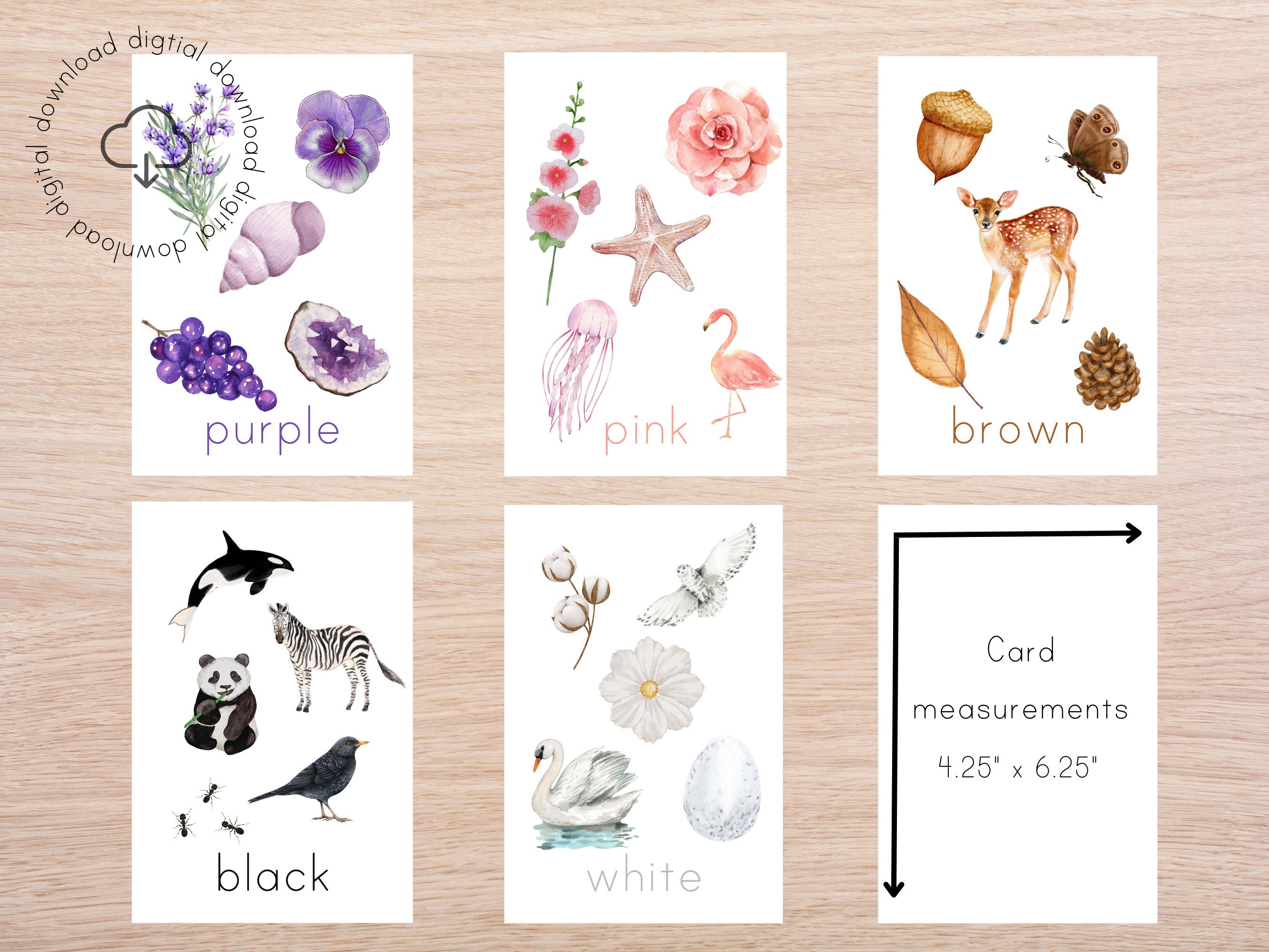 Nature Themed Color Flashcards | Homeschool Nature Study | Printable ...