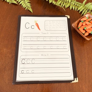 May include: A black and white printable worksheet with the letter "C" and a carrot illustration. The worksheet includes instructions to "Trace It" and "Write It" with dotted lines for tracing and blank lines for writing the letter.