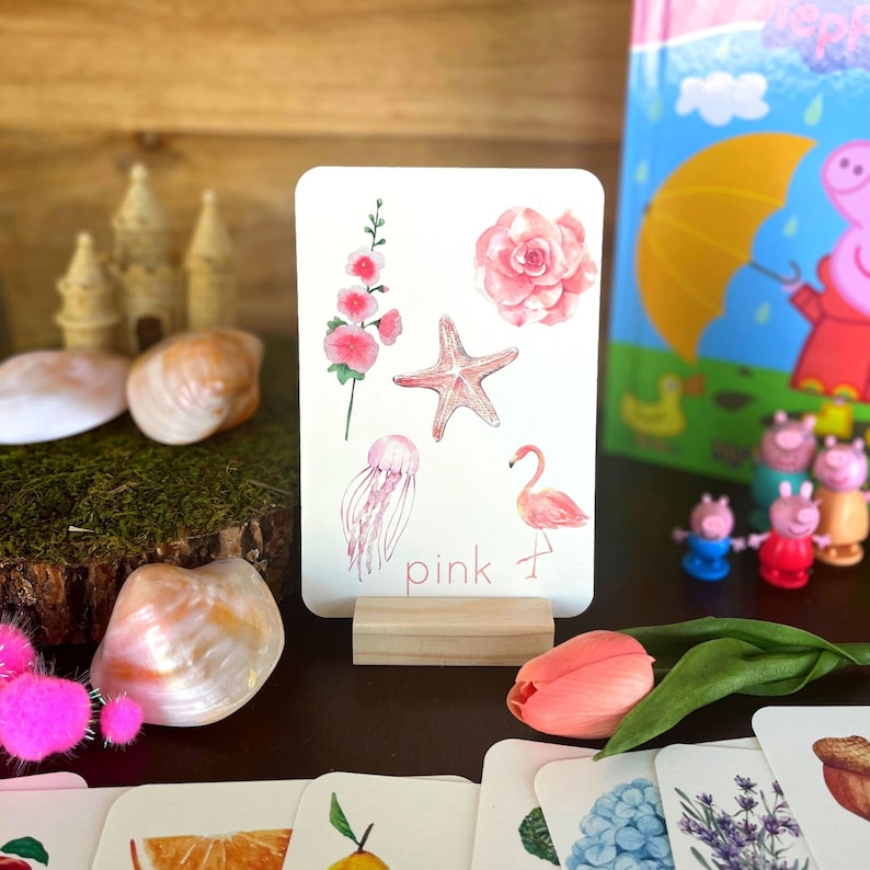 May include: A pink color identification card with illustrations of a starfish, a flamingo, a jellyfish, a flower, and a rose. The card has the word "pink" written on it.