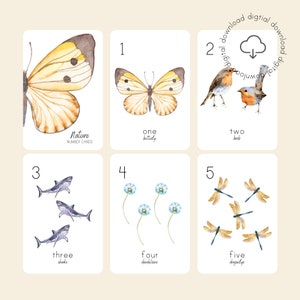 Tarjetas numéricas con temática de la naturaleza / Tarjetas didácticas para contar / Tema de la naturaleza para la educación en el hogar