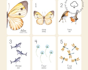 Nature themed Number Cards | Counting Flashcards | Homeschool Nature Theme