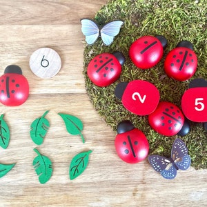 Counting Numbers Lady Bugs | Wooden Educational Toy | Montessori Waldorf Homeschool Material / Numbers 1-10 | Sorting Sensory Play