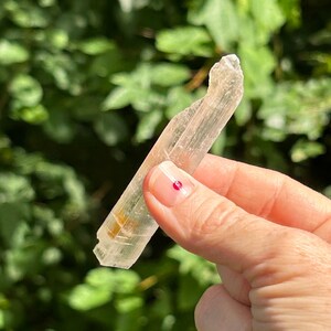 Può includere: Un cristallo trasparente e traslucido con una leggera sfumatura gialla. Il cristallo è lungo e sottile, con un'estremità appuntita. Viene tenuto in una mano su uno sfondo verde.