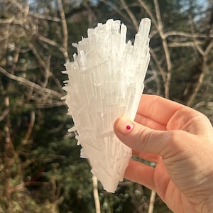 Puede incluir: Un gran cúmulo de cristales de selenita blanca, también conocidos como satinspat, en forma de abanico. Los cristales son translúcidos y tienen un brillo sedoso.