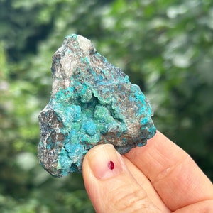 Könnte beinhalten: Ein rauer, unregelmäßig geformter Türkis-Edelstein mit blaugrüner Farbe und einer weißen Matrix. Der Stein wird in einer Hand mit rotem Nagellack gehalten.