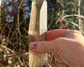 Smoky Lemurian Seed with sword energy (Mina do Alegre - Bahia - BRA)