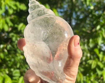 Rose Quartz Conch Shell/ Shanka/ Conch Shell (China)
