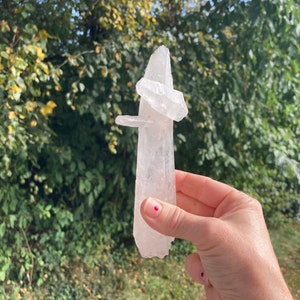 Könnte beinhalten: Ein klarer Quarzkristall-Cluster mit einer spitzen Spitze, gehalten in einer Hand vor einem verschwommenen Hintergrund aus grünem Laub.