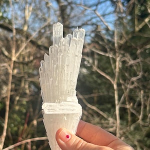 Puede incluir: Un cúmulo de cristales de selenita blancos con una base puntiaguda. El cristal está formado por muchos puntos finos en forma de aguja.