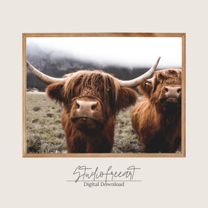 Druckbarer Hochlandkuh-Druck | Highland Kuh Druckbare Wandkunst | Tierposter | Minimalistisches Wanddekor Digitaler Download