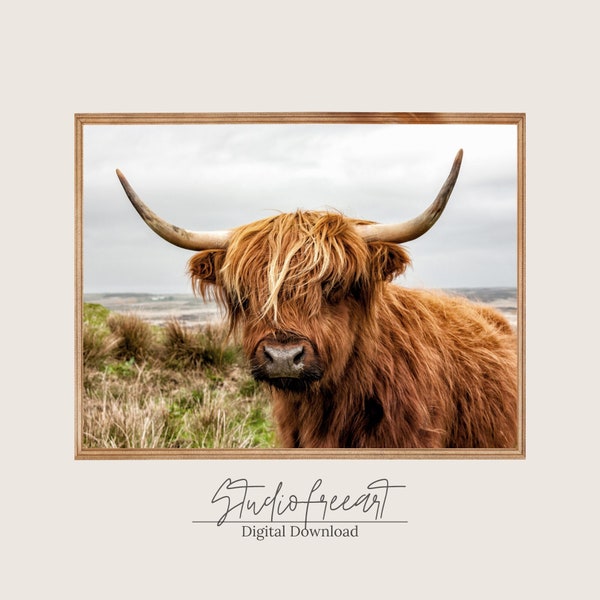 Printable Highland Cow Print | Highland Cow Printable Wall Art | Animal Poster | Minimalist Wall Decor Digital Download