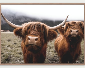 Highland Cow Photo Print | Minimalist Farm Animal Wall Art