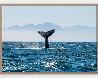 Whale Wall Art | Whale Tail Print | Ocean Wall Art | Modern Wall Art | Minimalist Wall Decor | Whale Photography