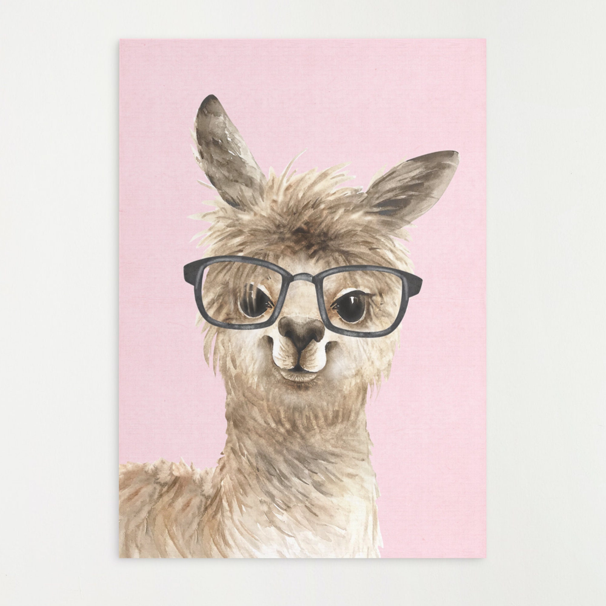 funny llama