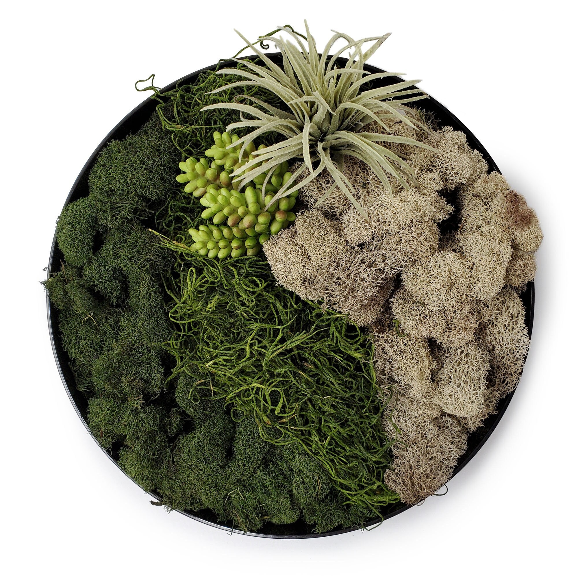 20g Moss for Potted Plants Artificial Moss for Fake Plants Faux Moss for  Planters Decorative Moss for Craft and Home Decor