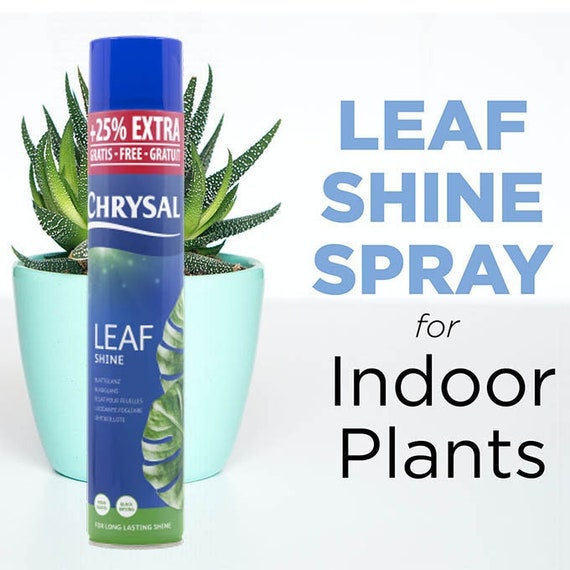 plant tray indoor 10