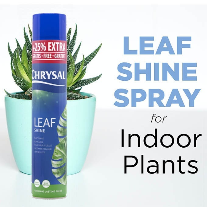 Chrysal Leafshine Large Can 750 Ml Bonus Size 