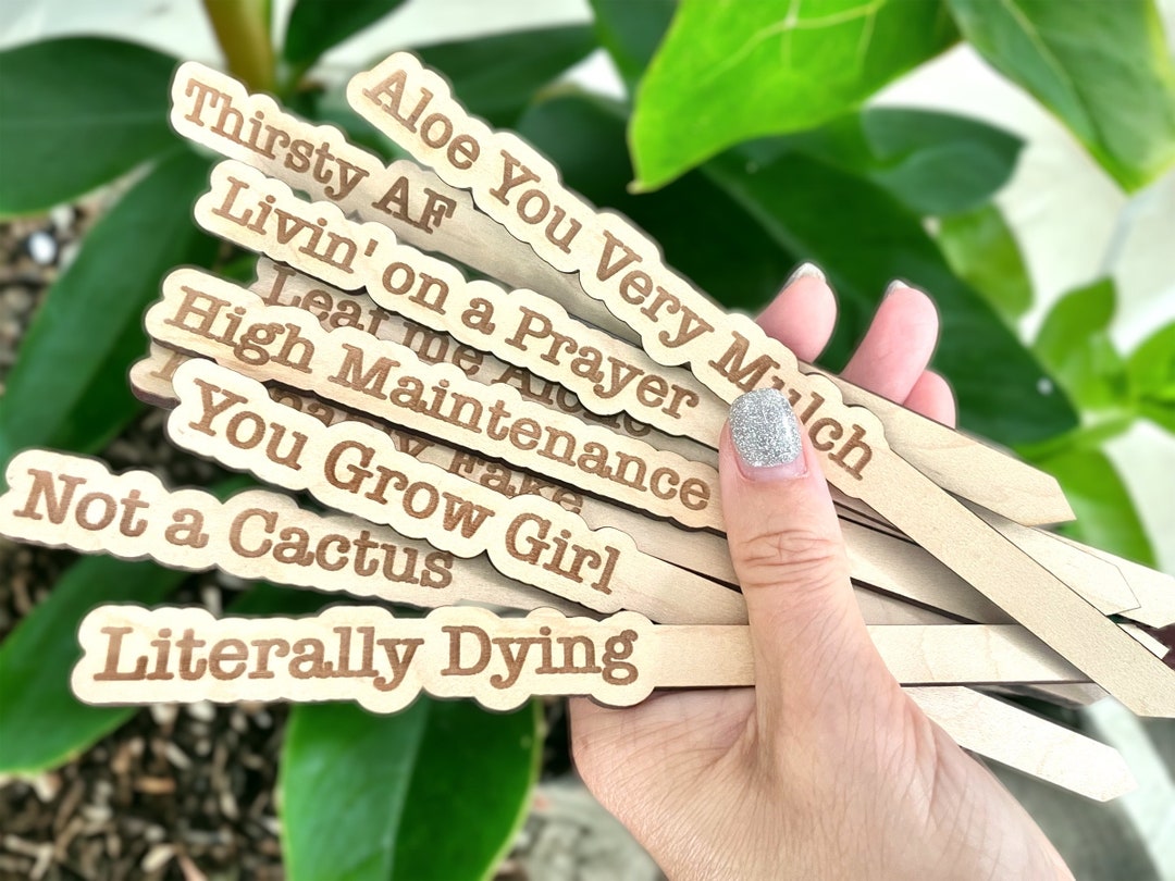 Plant Saying Sticks Gift for Plant Lover Gift Box Plant Markers Funny