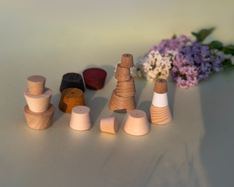 May include: A collection of small, truncated cone-shaped wooden objects in various natural wood tones, including light beige, medium brown, dark brown, and black, with one piece featuring a white painted band and small holes at the top.