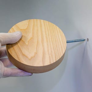 Rundes Holz Wandregal, kleine schwebende Pflanze