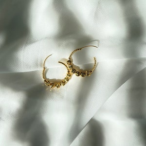 Gold Hoop Earrings/Lira Co Jewelry