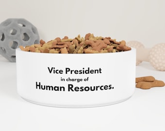 Personalized Ceramic Pet Bowl – Custom Glazed Dog/Cat Bowl, HR VP Design