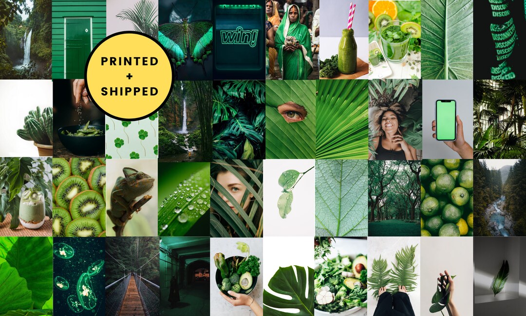 Printed 40pc Green Collage Kit Green Aesthetic 4x6 - Etsy