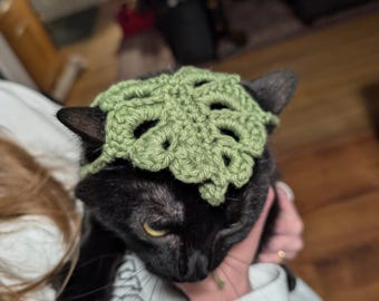 Monstera Cat Hat