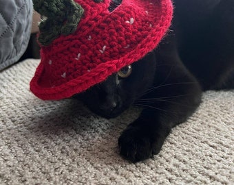 Strawberry Crochet Cat Hat