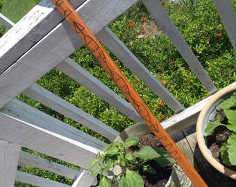 Walking Stick, Eyes
