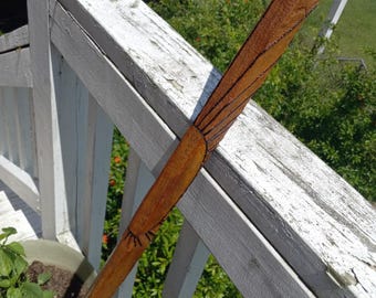 Walking Stick, Sunrise