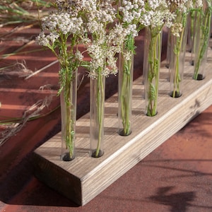Standvase mit einem Stamm Glasrohr, Reagenzglas Vase, Geschenke für Pflanzenliebhaber, Hochzeit Herzstück, Pflanzenliebhaber, Pflanzenstecklinge