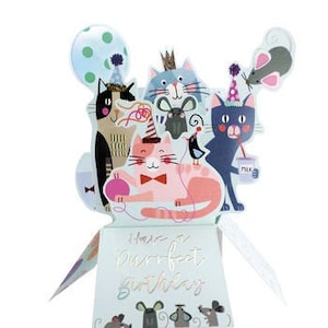 Carte d'anniversaire pop-up 3D chats – Carte de joyeux anniversaire chaton – Parfaite pour fille, sœur, petite-fille, nièce, amie, maman, grand-mère