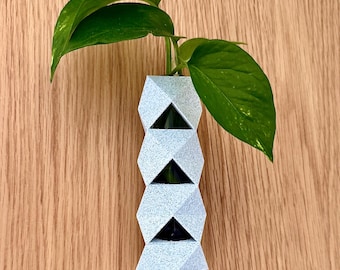 RECOGIDA LOCAL SOLAMENTE / Jarrón de propagación geométrico / Maceta de tubo de ensayo de pared / Soporte minimalista para esquejes de plantas