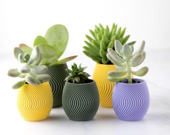 GroovyEgg / Maceta con forma de huevo de Pascua impresa en 3D con bandeja de goteo oculta / Bonita maceta para suculentas / Decoración de primavera / Regalo de Pascua